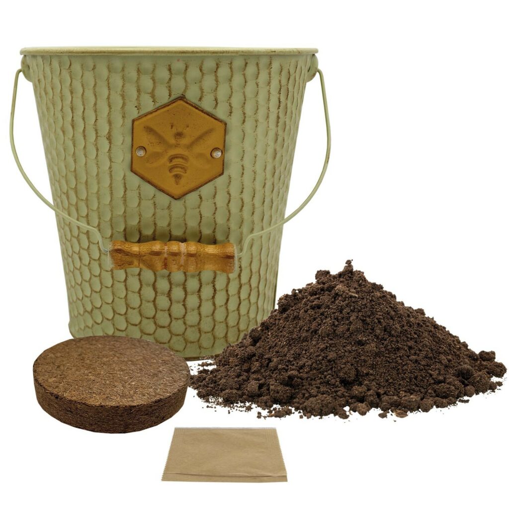 Bee Friends Honeycomb Wild Flower Seed Bucket 5055128622837